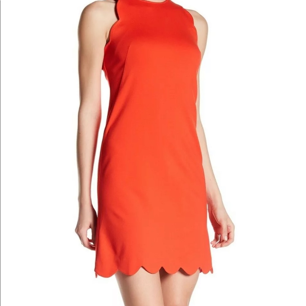 Vince Camuto Women's Sleeveless Scalloped Hem Sheath Dress Orange Sz